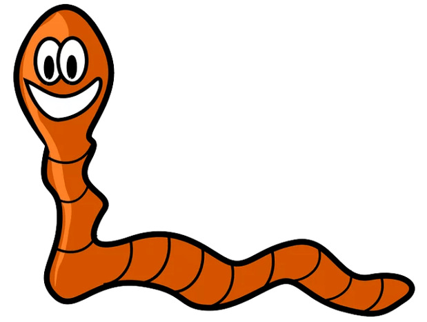 Parásitos no teu corpo