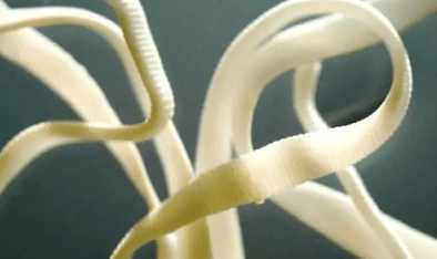 Como eliminar os parásitos do corpo humano