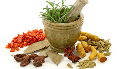 Métodos para tratar os parásitos no corpo