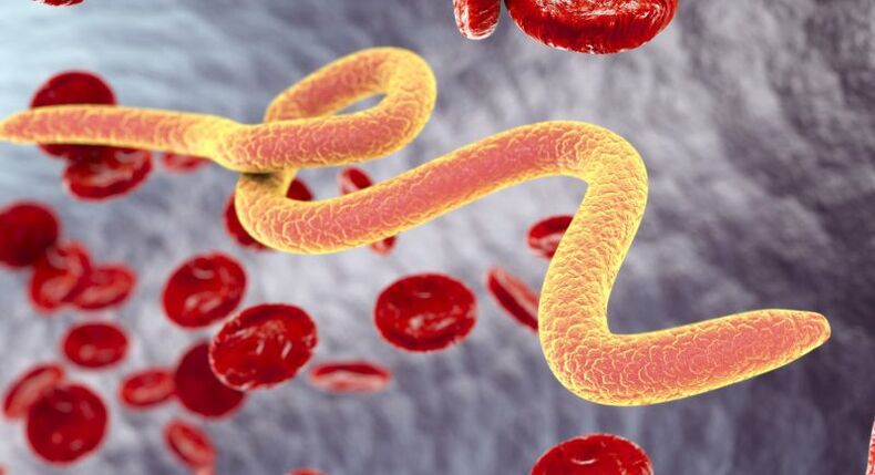 Organismos parasitos